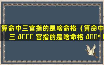 算命中三宫指的是啥命格（算命中三 🐘 宫指的是啥命格 🌺 呢）